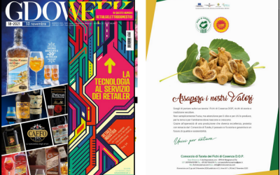 GDO WEEK Numero 18 novembre 2021