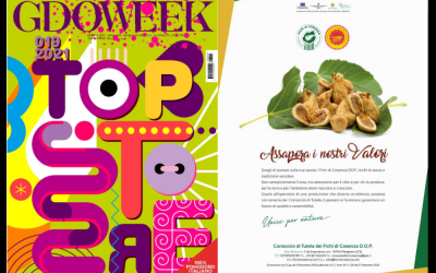 GDO WEEK numero 19 speciale store (dicembre 2021)
