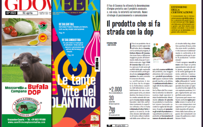 Il paziente lavoro del Consorzio di Tutela in un articolo su GDO WEEK di aprile 2022